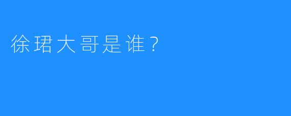 徐珺大哥是谁？