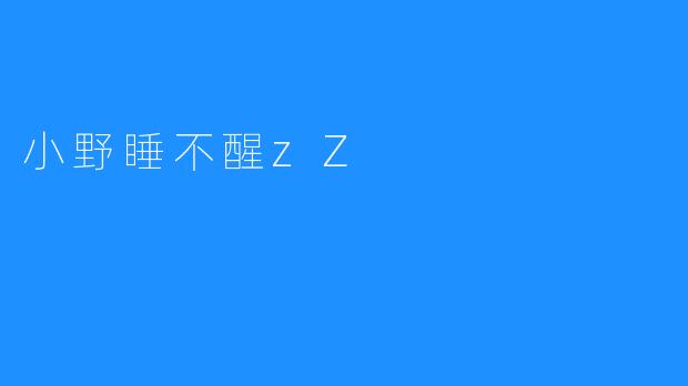 小野睡不醒zZ