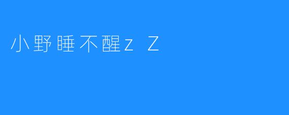 小野睡不醒zZ