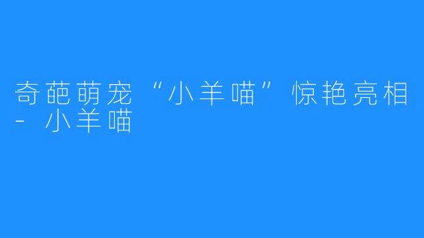 奇葩萌宠“小羊喵”惊艳亮相-小羊喵