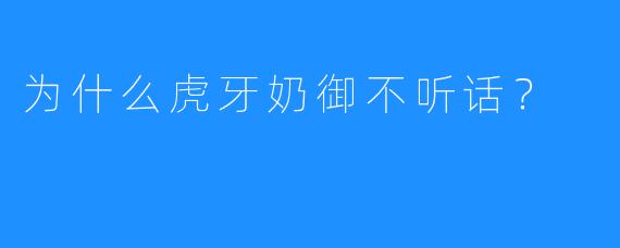 为什么虎牙奶御不听话？