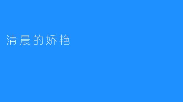 清晨的娇艳
