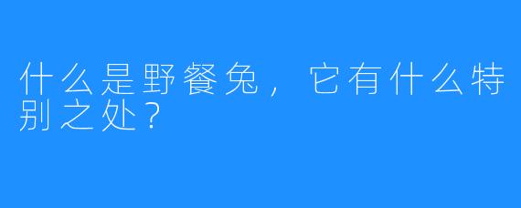 什么是野餐兔，它有什么特别之处？