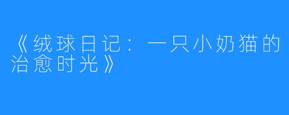 《绒球日记:一只小奶猫的治愈时光》