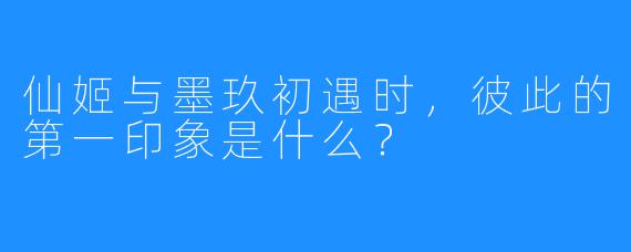 仙姬与墨玖初遇时，彼此的第一印象是什么？