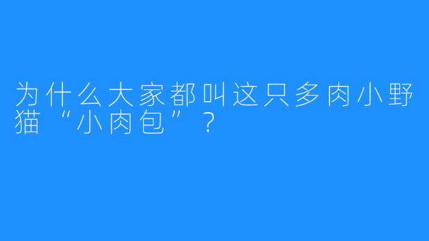 为什么大家都叫这只多肉小野猫“小肉包”？