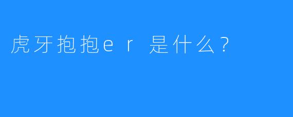 虎牙抱抱er是什么?