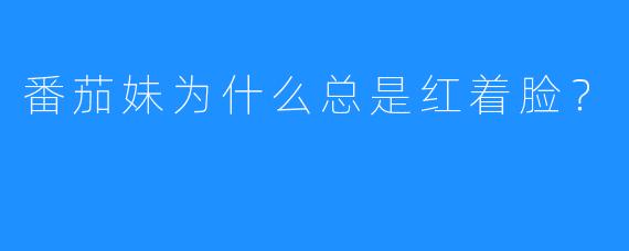 番茄妹为什么总是红着脸？