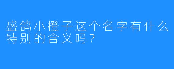 盛鸽小橙子这个名字有什么特别的含义吗？