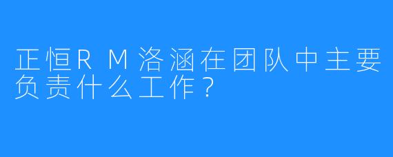 正恒RM洛涵在团队中主要负责什么工作？